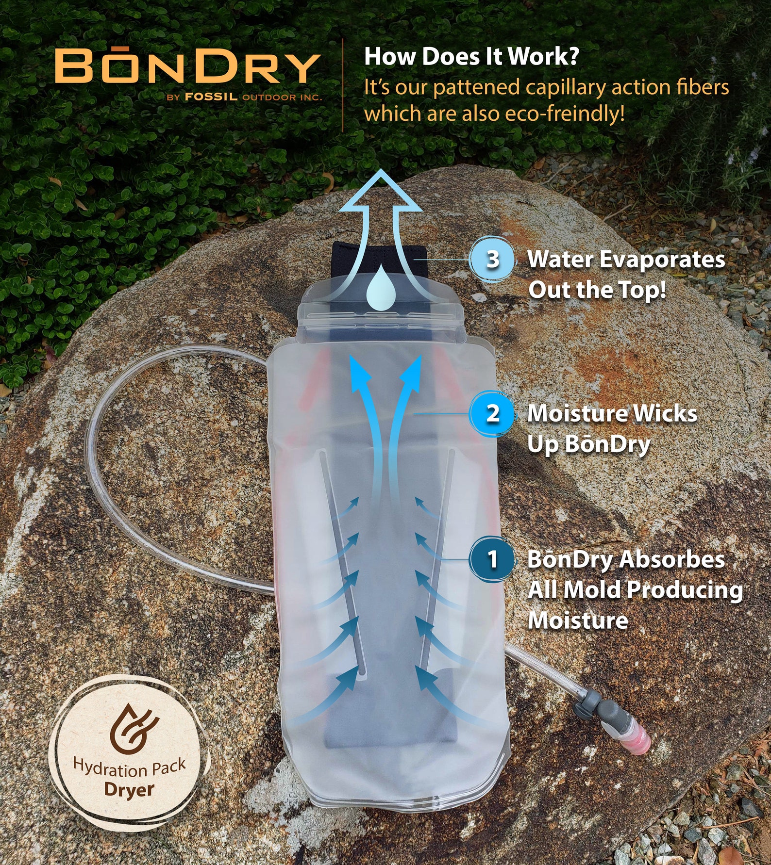 BōnDry World's First Hydration Backpack Bladder Dryer Etsy
