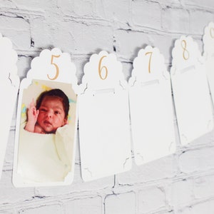 Banner fotográfico mensual, Primer cumpleaños, Bebé, Niña, Niño, 12 meses, Recién nacido, Ranuras para fotos, 4 x 4, 4 x 6, Primera celebración