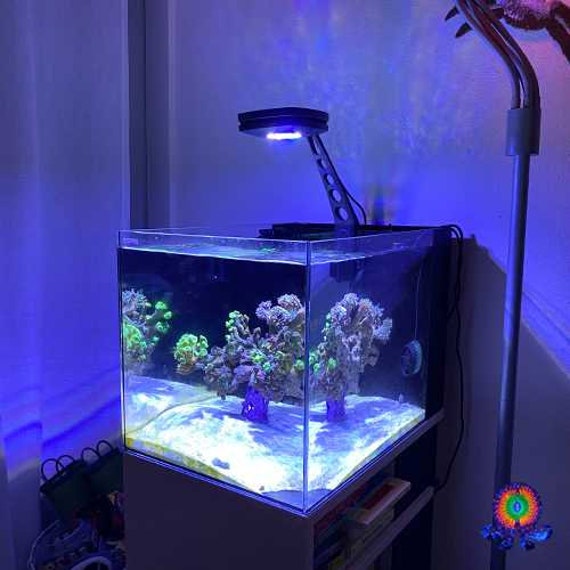 Ai aquarium lights cheap