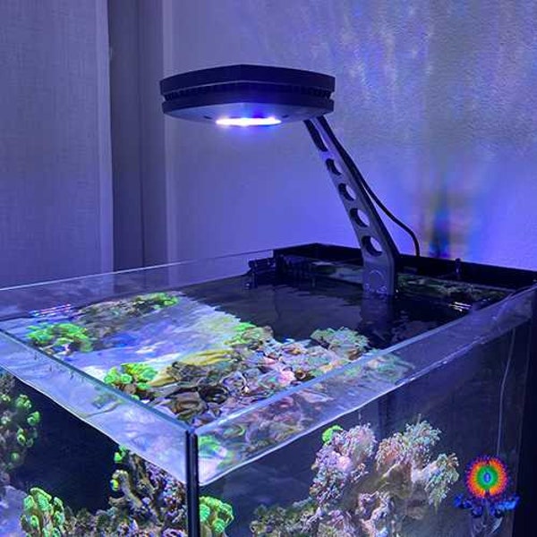 WaterBox Peninsula Mini AI Prime HD Light Mount | FREE shipping