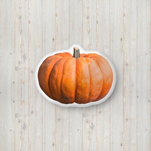 Pumpkin Shape Pillow, Orange Pumpkin Throw Pillow, Autumn Throw Pillow, Fall Home Decor Throw Pillow, Thanksgiving Throw Pillow