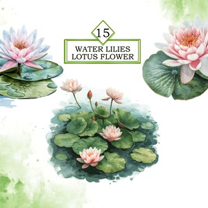 Pode incluir: Flores de l&iacute;rio d'&aacute;gua em tons de rosa e branco com folhas verdes. A imagem inclui o texto "15 WATER LILIES LOTUS FLOWER".