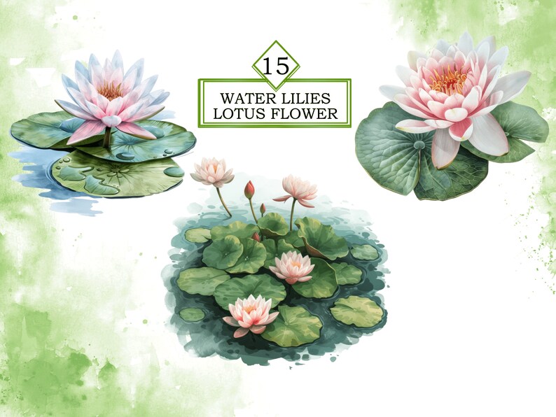 Pode incluir: Flores de l&iacute;rio d'&aacute;gua em tons de rosa e branco com folhas verdes. A imagem inclui o texto "15 WATER LILIES LOTUS FLOWER".