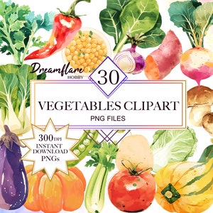 Aquarelle Légumes PNG Clipart Bundle, Back To School Clipart, Légumes Clipart, Enseignants Imprimables, Téléchargement numérique, Utilisation commerciale