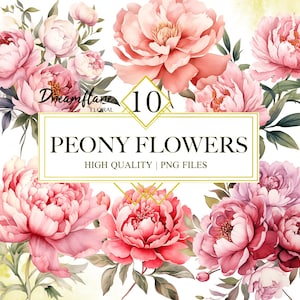 Könnte beinhalten: Ein digitaler Download von 10 Aquarell-Illustrationen von rosa und roten Pfingstrosen. Die Blumen sind in einem Strauß mit grünen Blättern angeordnet. Der Text "Dreamflame Floral" und "Peony Flowers" wird auf einem goldenen Rahmen angezeigt.