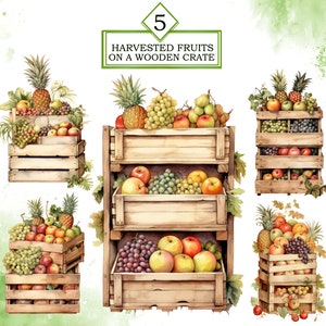 May include: Five wooden crates filled with a variety of harvested fruits, including apples, pears, grapes, and pineapples. The crates are stacked on top of each other, with the top crate labeled "5 HARVESTED FRUITS ON A WOODEN CRATE".