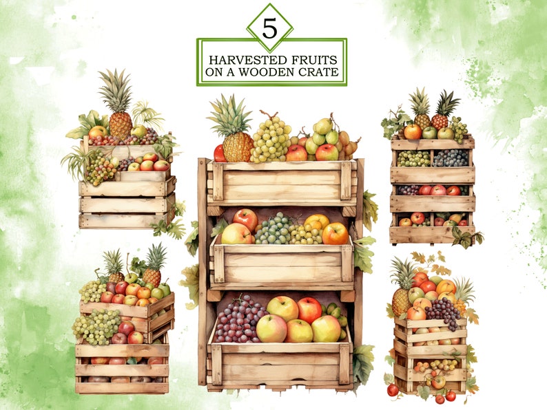 May include: Five wooden crates filled with a variety of harvested fruits, including apples, pears, grapes, and pineapples. The crates are stacked on top of each other, with the top crate labeled "5 HARVESTED FRUITS ON A WOODEN CRATE".