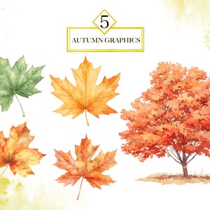 Puede incluir: Cinco ilustraciones de acuarela de hojas de oto&ntilde;o. Las ilustraciones incluyen una hoja de arce verde, una hoja de arce amarilla, una hoja de arce naranja, una hoja de arce amarilla y naranja, y un arce naranja completo.