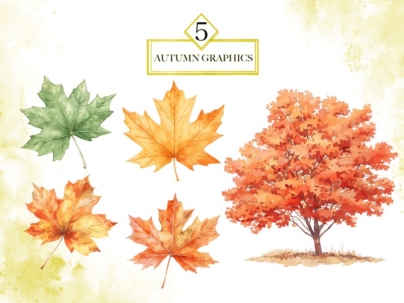 Puede incluir: Cinco ilustraciones de acuarela de hojas de oto&ntilde;o. Las ilustraciones incluyen una hoja de arce verde, una hoja de arce amarilla, una hoja de arce naranja, una hoja de arce amarilla y naranja, y un arce naranja completo.