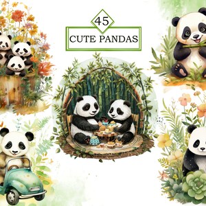 May include: A set of four digital illustrations featuring cute pandas in various settings. One panda is playing a flute, another is having tea with a friend, and two are sitting in a lush green forest.