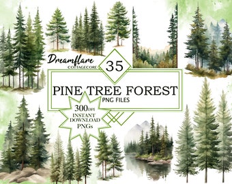 Albero di pino della foresta dell'acquerello, PNG dell'albero di pino, Clipart dell'albero del bosco, Clipart del paesaggio della foresta, PNG di alta qualità, Uso commerciale