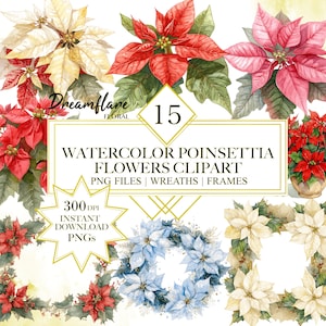 Pacchetto di clipart di fiori di Poinsettia dell'acquerello, inverno, piante PNG, design di cartoline di Natale, ghirlanda floreale PNG, download digitale, uso commerciale