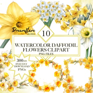 Paquete de imágenes prediseñadas de flores de narciso de acuarela, imágenes prediseñadas de flores de primavera, narcisos PNG, corona floral, descarga digital, uso comercial
