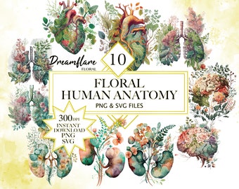 Floral Human Organs, Heart, Brain, Kidney, Lungs PNG and SVG, Medical Art, Watercolor Human Anatomy Clipart