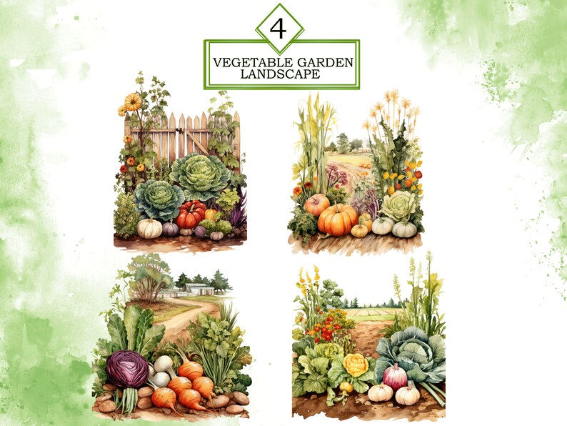May include: Four watercolor illustrations of vegetable gardens. The first shows a fence with a variety of vegetables including cabbage, pumpkins, and tomatoes. The second shows a garden with pumpkins, squash, and herbs. The third shows a garden with cabbage, onions, and radishes. The fourth shows a garden with cabbage, onions, and radishes.