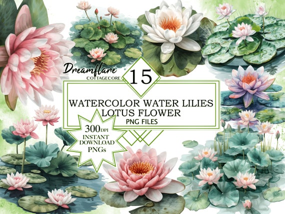 Watercolor Water Lilies Lotus Flower Clipart PNG Bundle, Water Lily Clipart, Lotus Flower PNG, Spring, Digital Download File, Commercial Use