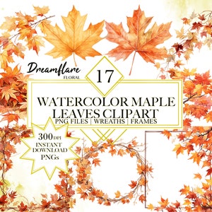 Pacchetto Clipart foglie d'acero acquerello, Foglie autunnali PNG, Foglie PNG, Foglia d'acero, Autunno PNG, Corona Png, Download digitale, Uso commerciale