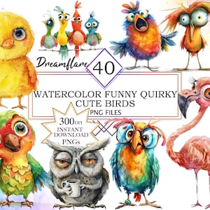 40 Funny Quirky Bird Clipart PNG Bundle Illustrations, Whimsical Birds on wire clip art, whimsy graphics cartoon bird faces, Commercial Use