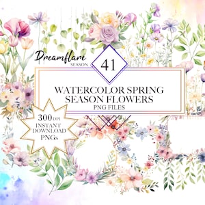 Fleurs de printemps aquarelle, Bundle Clipart, Plantes botaniques PNG, Clipart floral, Clipart feuillage, Fleurs des prés, Fleurs sauvages, Bordure florale