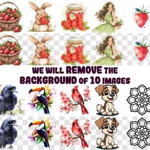 Puede incluir: Un collage de diez im&aacute;genes con diferentes temas, incluyendo un p&aacute;jaro cardenal rojo en una rama, un mandala blanco y negro, un cuervo negro, un tuc&aacute;n con plumas de colores, una fresa roja y blanca, una ni&ntilde;a con cabello largo y casta&ntilde;o vistiendo un vestido verde, un tarro de mermelada roja, un conejo sosteniendo una fresa y un cachorro con pelaje marr&oacute;n.