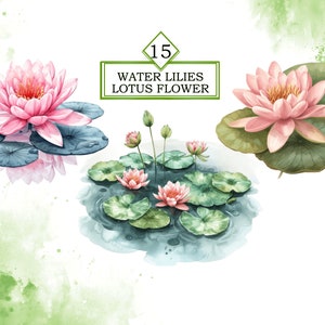 Aquarela Nenúfares Flor De Lótus Clipart Pacote PNG, Lírio De Água Clipart, Flor De Lótus PNG, Primavera, Arquivo De Download Digital, Uso Comercial imagem 3
