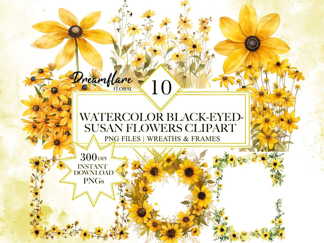Watercolor Black Eyed Susan Flowers Clipart Bundle, Yellow Daisy ...