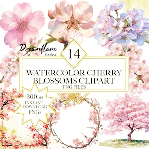 Watercolor Cherry Blossom Clipart Bundle, Spring Flowers Clipart, Cherry Blossom PNG, Floral Wreath, Digital Download, Commercial use