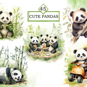May include: A set of 45 cute panda illustrations. The pandas are depicted in various poses, including eating bamboo, riding a scooter, and sleeping. The illustrations are done in a watercolor style and feature a green bamboo background.