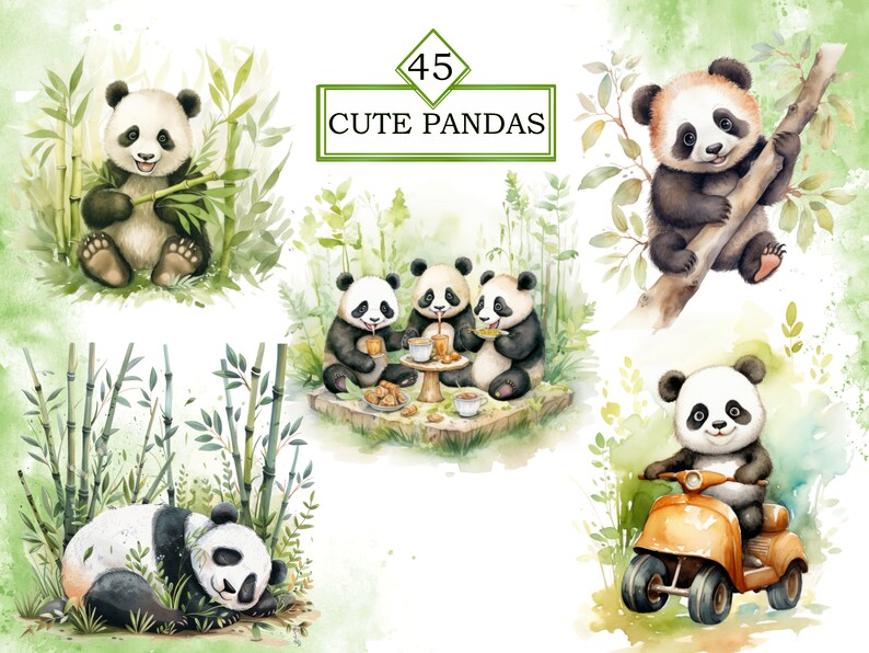 May include: A set of 45 cute panda illustrations. The pandas are depicted in various poses, including eating bamboo, riding a scooter, and sleeping. The illustrations are done in a watercolor style and feature a green bamboo background.