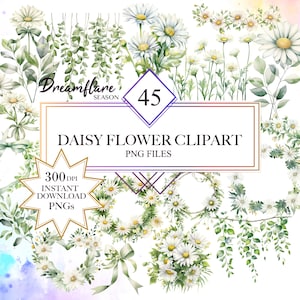 Fiori della margherita dell'acquerello, bundle di clipart delle margherite, PNG di piante botaniche, clipart di fogliame, floreale primaverile, verde PNG, invito a nozze