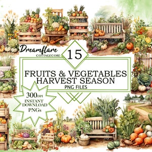 May include: A digital illustration of 15 watercolor-style clipart images of fruits and vegetables. The images include a variety of produce, such as apples, pears, grapes, pumpkins, tomatoes, onions, and carrots. The images are arranged in a collage style, with some of the images overlapping. The text "Dreamflare Cottagecore" and "Fruits & Vegetables Harvest Season" is included in the image.