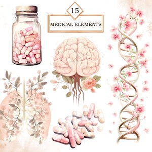 May include: 15 Medical Elements watercolour illustration set featuring a brain, lungs, DNA, and pills in a glass jar. The illustrations are in a soft pink and brown colour palette with floral accents.