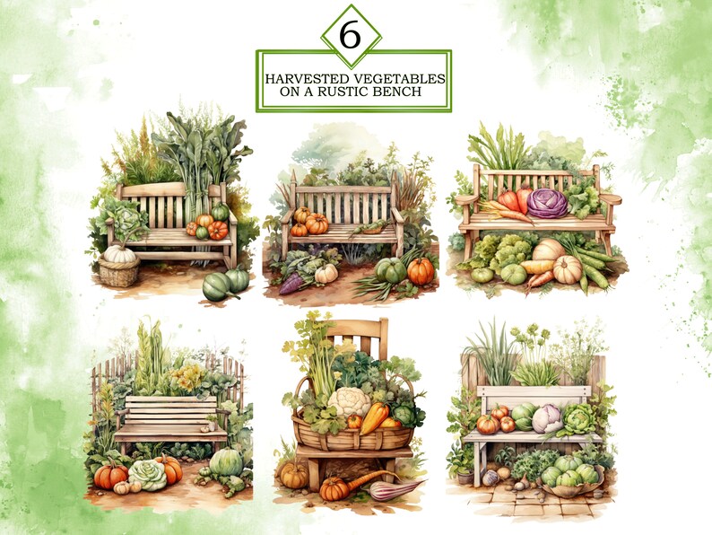 May include: Six watercolor illustrations of a rustic wooden bench with a variety of harvested vegetables, including pumpkins, cabbages, carrots, and green beans. The text "6 HARVESTED VEGETABLES ON A RUSTIC BENCH" is at the top of the image.