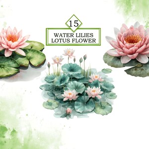 Pode incluir: L&iacute;rios d'&aacute;gua e flores de l&oacute;tus em tons de rosa e verde. As flores s&atilde;o cercadas por grandes folhas verdes. O texto "15 WATER LILIES LOTUS FLOWER" &eacute; exibido em um ret&acirc;ngulo preto.