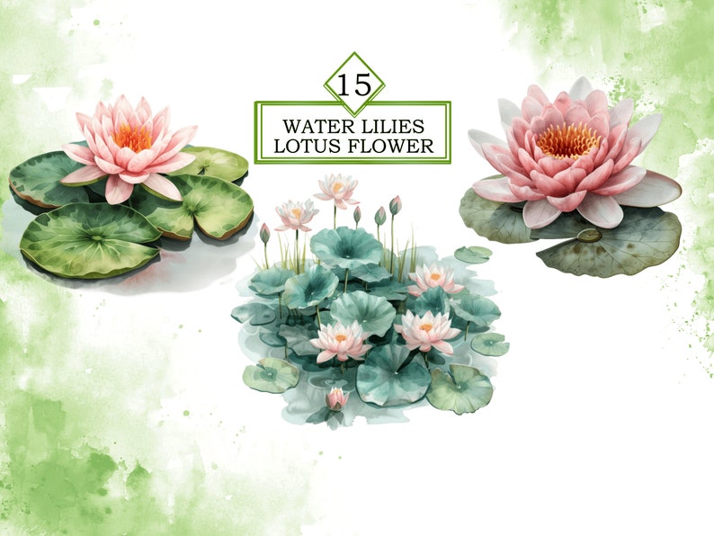 Pode incluir: L&iacute;rios d'&aacute;gua e flores de l&oacute;tus em tons de rosa e verde. As flores s&atilde;o cercadas por grandes folhas verdes. O texto "15 WATER LILIES LOTUS FLOWER" &eacute; exibido em um ret&acirc;ngulo preto.