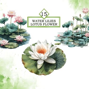 Aquarela Nenúfares Flor De Lótus Clipart Pacote PNG, Lírio De Água Clipart, Flor De Lótus PNG, Primavera, Arquivo De Download Digital, Uso Comercial imagem 6