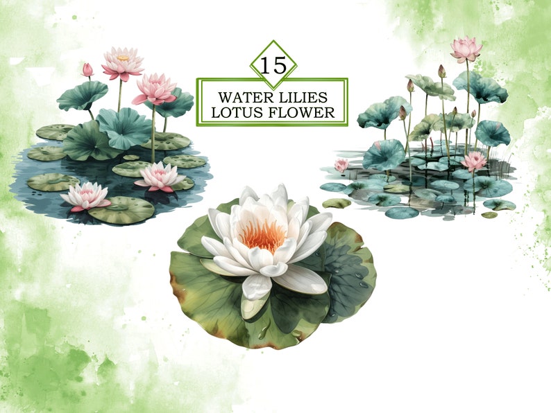 Aquarela Nenúfares Flor De Lótus Clipart Pacote PNG, Lírio De Água Clipart, Flor De Lótus PNG, Primavera, Arquivo De Download Digital, Uso Comercial imagem 6