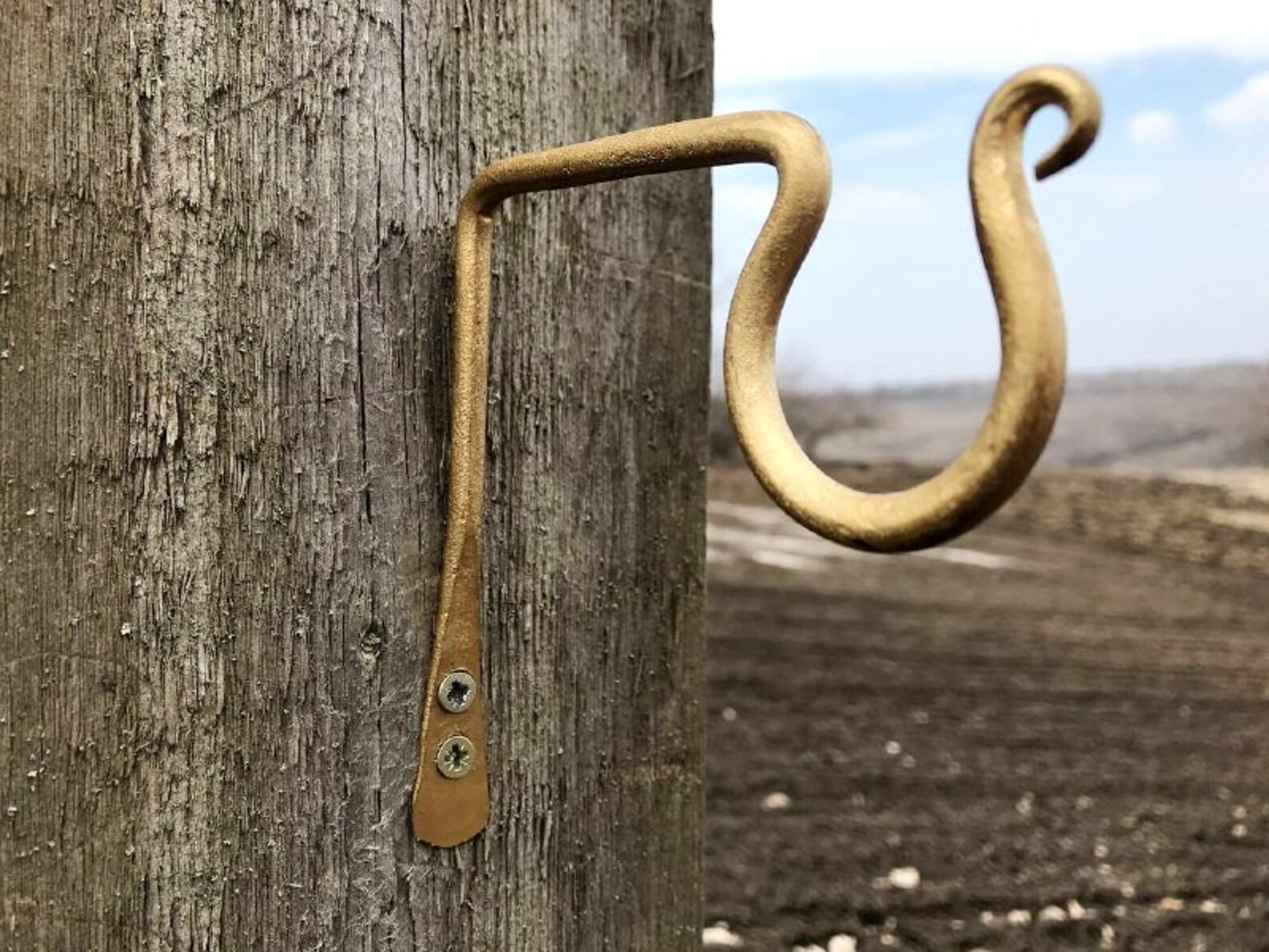 iron plant hanger pole