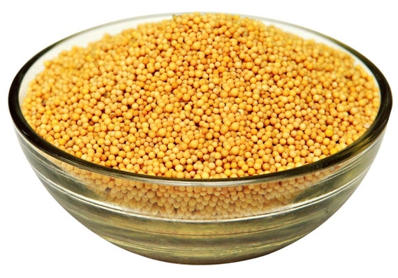 Yellow Mustard Seeds Pili Sarso Peeli Sarso Mustard Seeds - Etsy