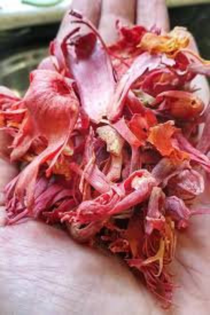 Mace Javitri Indian Organic and Pure Etsy