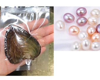 May include: A close-up of a variety of pearl colors, including white, pink, and purple. The pearls are arranged in a loose pile on a white surface. A single black oyster shell is shown in a plastic bag.
