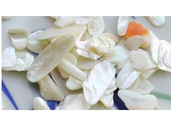 Puede incluir: Primer plano de un montón de piezas de concha de nácar blanco iridiscente. Las piezas son de varias formas y tamaños, y algunas tienen un ligero tono rosado.