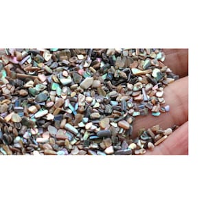 Puede incluir: Primer plano de un montón de piezas de concha iridiscentes, multicolores y texturizadas. Las piezas de concha son pequeñas e irregulares.