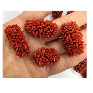 Rare! Large Coral, Undrilled, Red Gemstone, 19x25mm, 17x31mm GB1541
