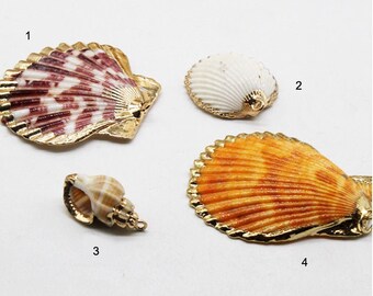 5 pcs Mussel Shell Charms - Seashell Earrings and Pendant - Gold Tone Plated Earrings GB693