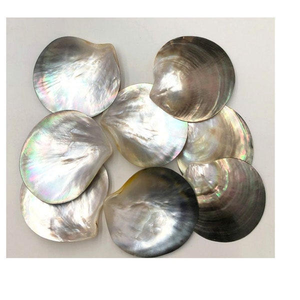 AAA 9-10cm Big Tahitian blacklip mother of pearl shell natural cut, one piece, tahitian Oyster  GB765