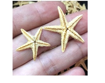 Beach Decor Seashell Mirror - Nautical Decor Shell Mirror W Starfish In Natural Oval - Foto 7