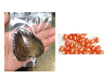 Open an Oyster Find a Pearl at Home- Pearl in Each Oyster Purple Freshwater Pearl PB330