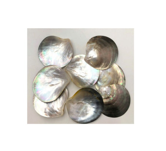 AAA 9-10cm Big Tahitian Blacklip Mother of Pearl Shell Natural Cut