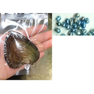Oysters with 6-9mm Small Rice Drop Pearl Inside, Natural Pearl Oysters Blue Color Pearl PB330